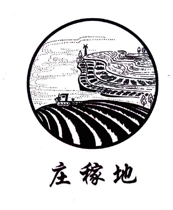 庄稼地
