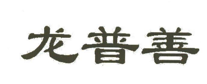 龙普善