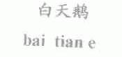 白天鹅