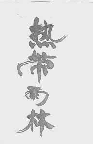 热带雨林
