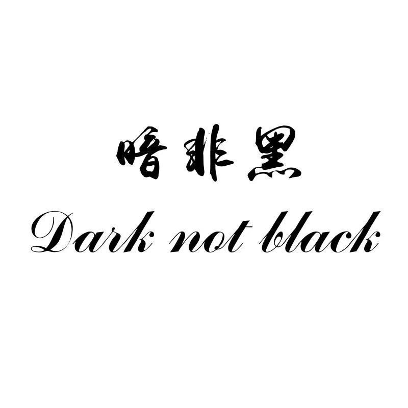 暗非黑 DARK NOT BLACK