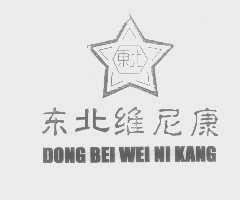 东北维尼康