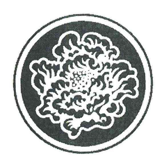 图形