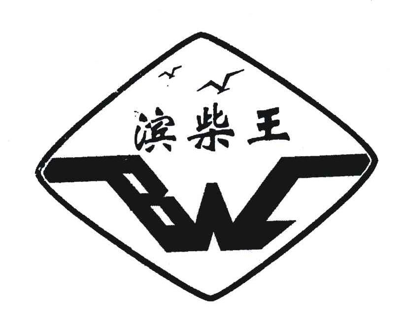 滨柴王