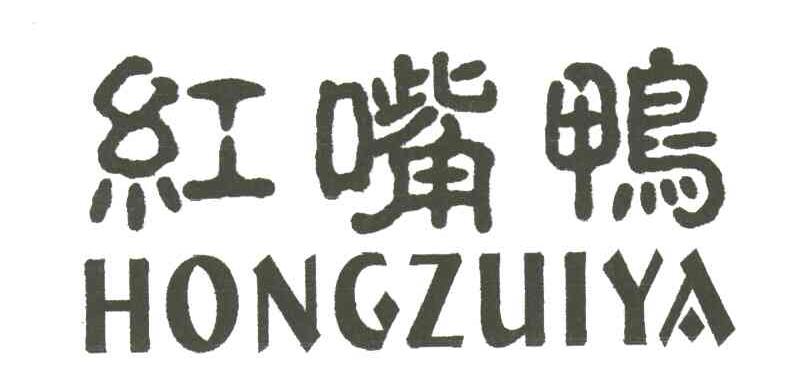 红嘴鸭