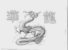 华龙