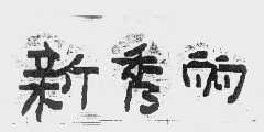 新秀丽