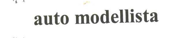 AUTO MODELLISTA