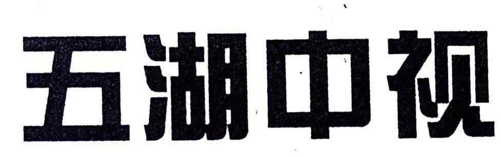 五湖中视