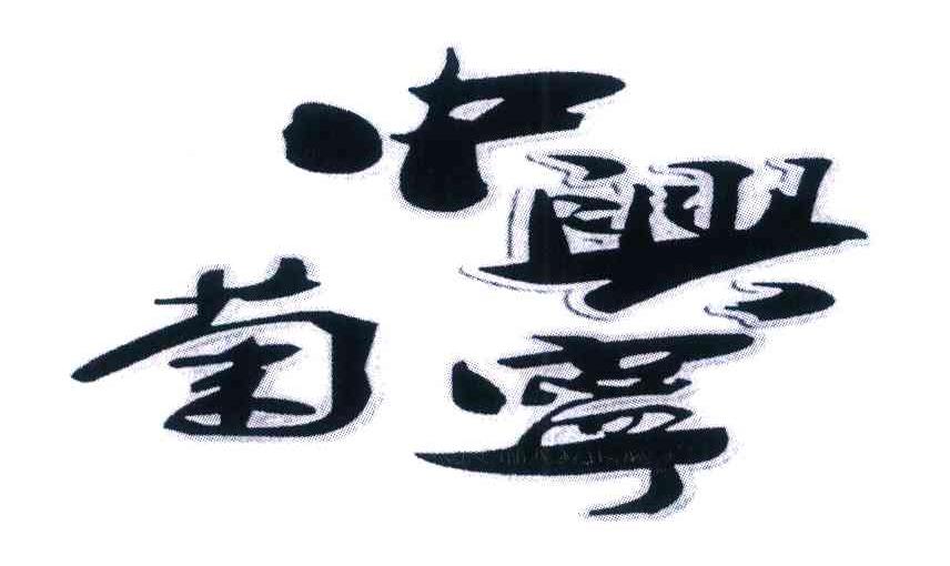 中兴菊宁