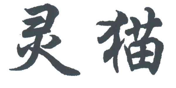 灵猫