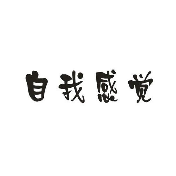 自我感觉