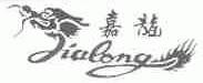 嘉龙