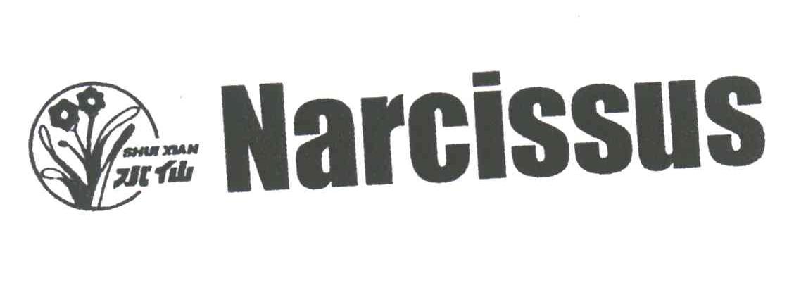 NARCISSUS