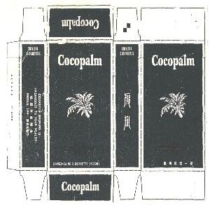 椰树   COCOPALM