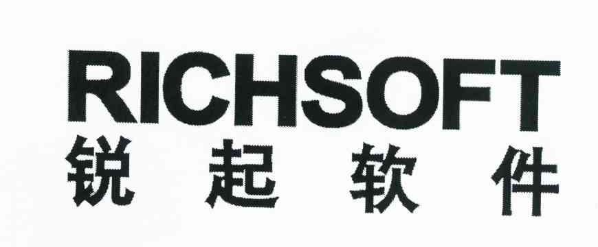 锐起软件 RICHSOFT