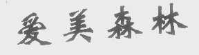 爱美森林