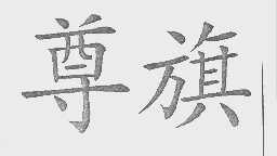 尊旗