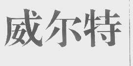 威尔特