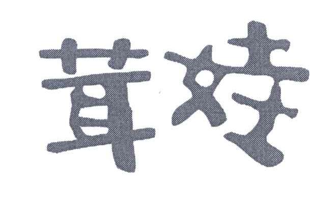茸娃