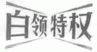 白领特权