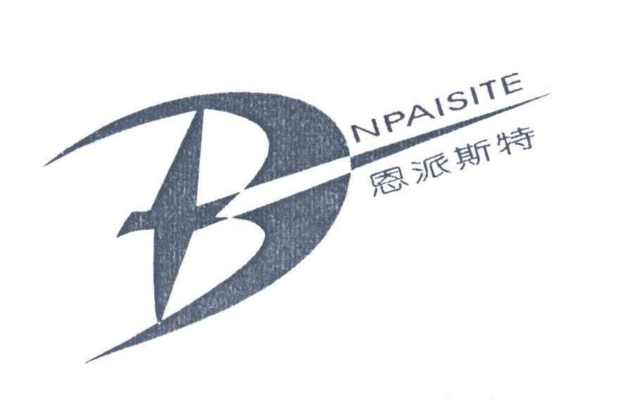 恩派斯特 NPAISITE