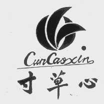 寸草心