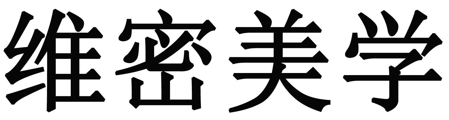 维密美学