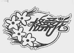 格桑花