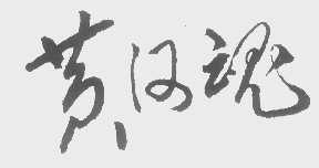 黄河魂