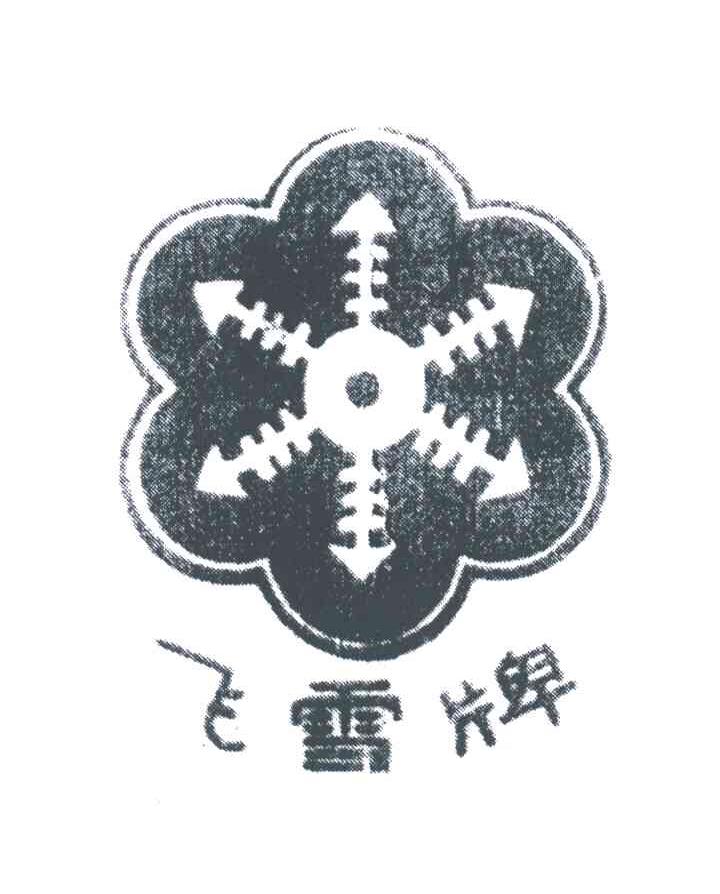 飞雪