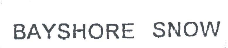 BAYSHORE SNOW