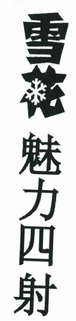 雪花魅力四射
