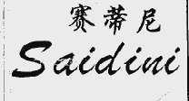 赛蒂尼