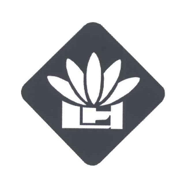 图形