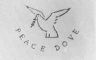 PEACE DOVE
