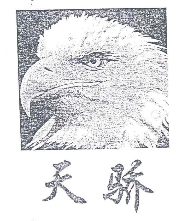 天骄