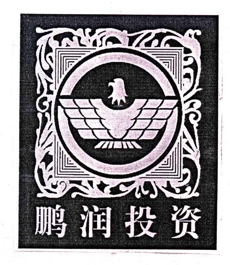 鹏润投资