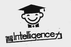 智力   INTELLIG ENCE