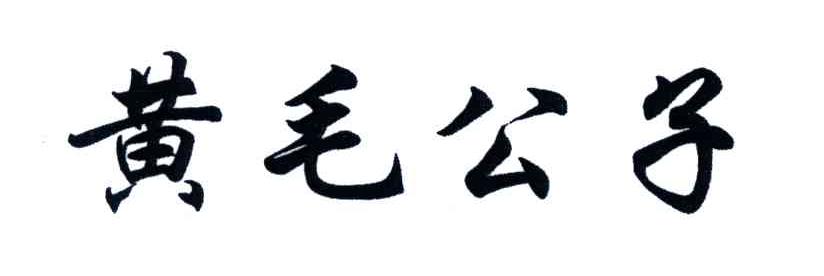 黄毛公子