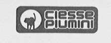 CIESSEPIUMINI