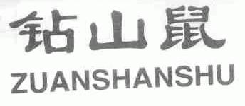 钻山鼠