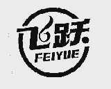 飞跃