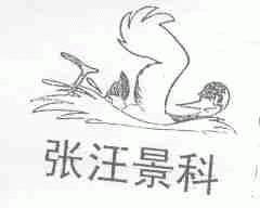 张汪景科