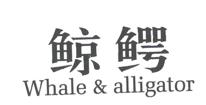 鲸鳄;WHALE AKKIGATOR