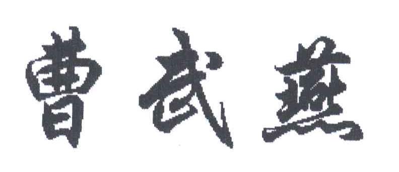 曹武燕