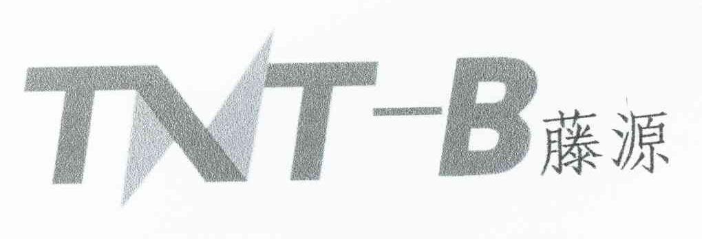 藤源 TNTB