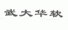 武大华软