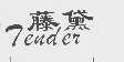 藤黛   TENDER