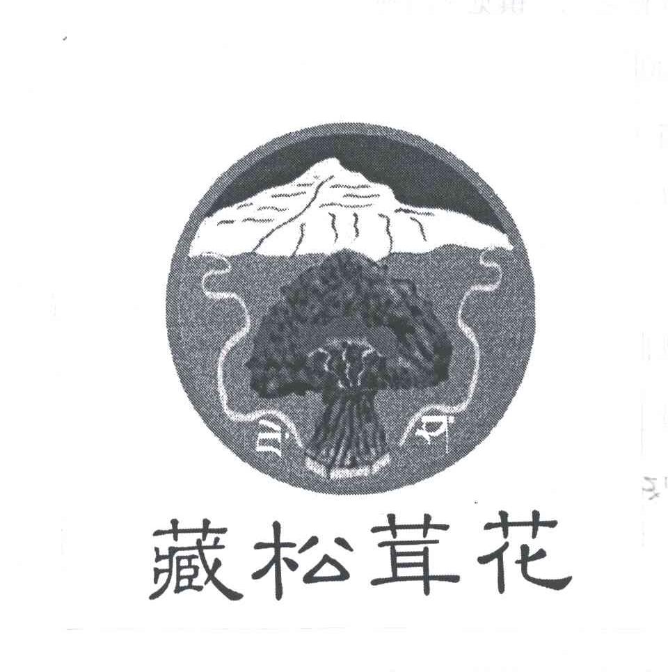 藏松茸花